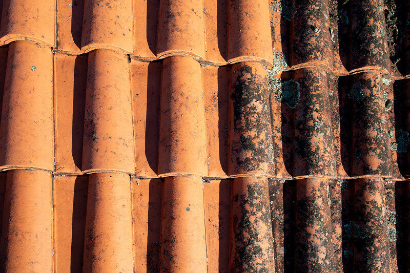 Nettoyage toiture blois