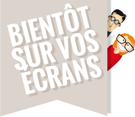 nettoyage toiture Blois